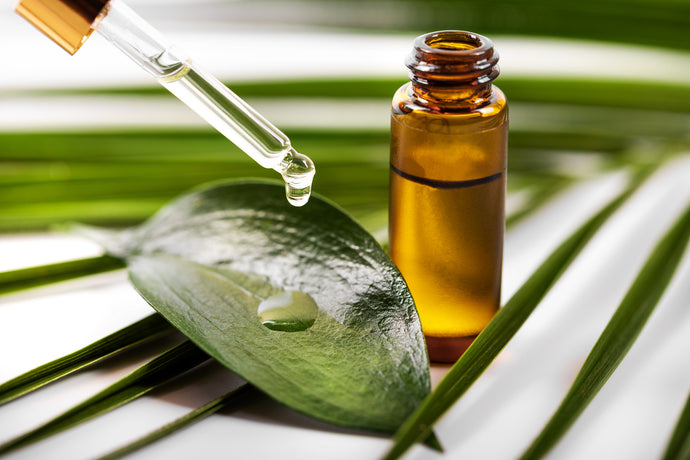 The Benefits of Tea Tree Oil